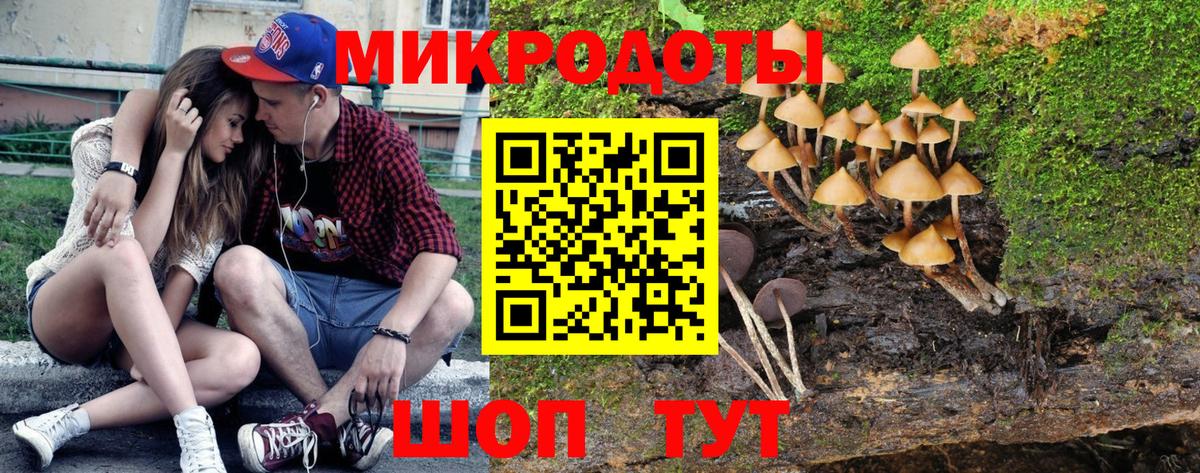 Псилоцибиновые грибы MAGIC MUSHROOMS  Вход с VPN  Гудермес 