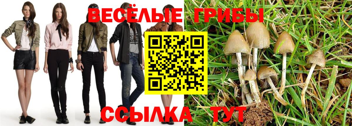 Псилоцибиновые грибы мицелий Гудермес